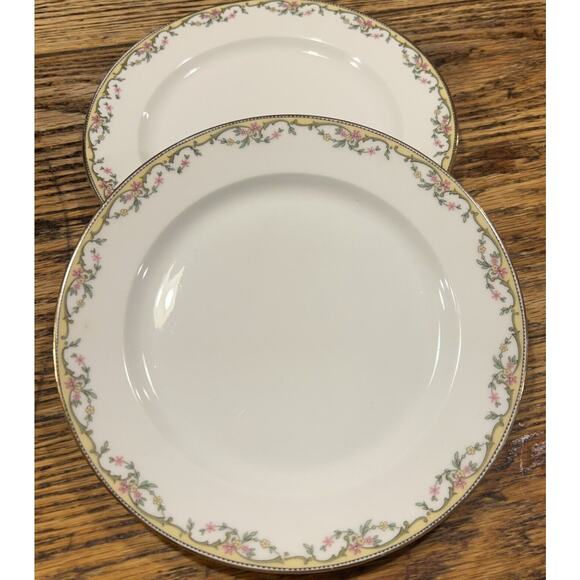 Vignaud VIG86 Limoges Set of TWO Salad Plates, 7 1/2" Hess Bros. PRISTINE! - Picture 1 of 6